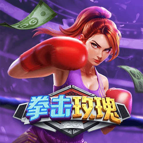 拳击玫瑰